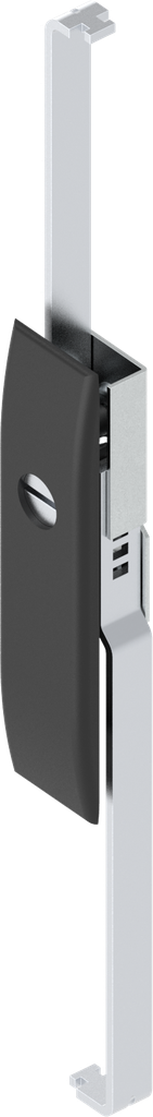 Schlüsselschild mit Schlossstangen mit Betätigung Schlitz 2 x 4, Polyamid GF schwarz