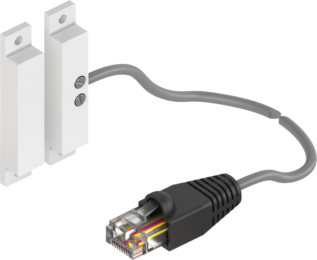 Flachreedkontakt mit RJ45 Stecker; 