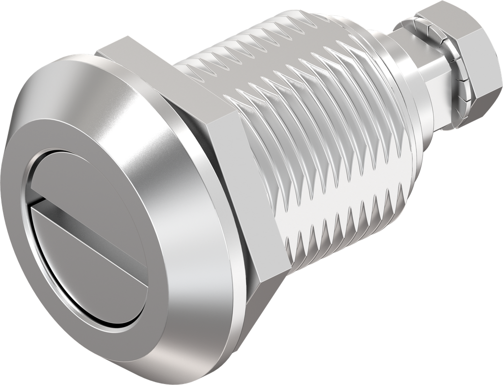 Dreh-Spann-Verschluss Schlitz 2 x 4, Edelstahl AISI 316
