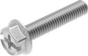 Sperrzahnschraube M6 x 30, Stahl verzinkt